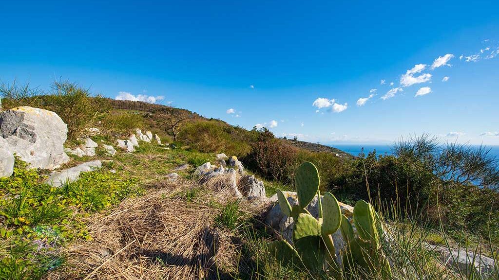 Fattoria Terranova Sorrento